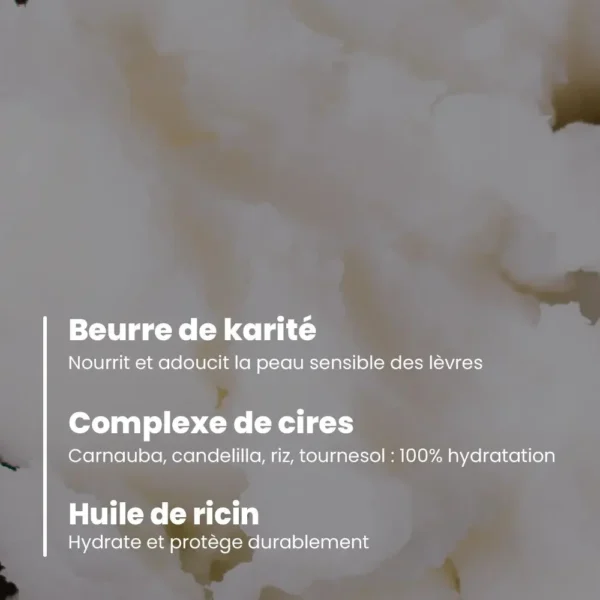 Rouge à lèvres brillant- certifie bio — image 6